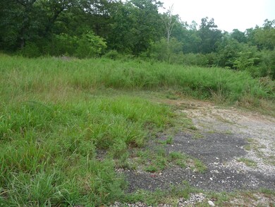 Tbd Ramona Ln, Ruth B Rural Township, MO 65686 - photo 4