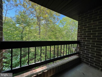23240 Chestnut Oak Ct unit 1045, California, MD 20619 - photo 4
