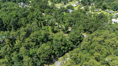 0 Marks Ave unit 380649, Bay Minette, AL 36507 - photo 6