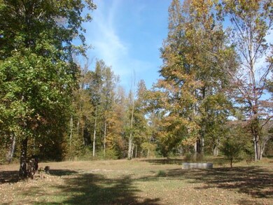 1709 Waverly Rd, Tennessee Ridge, TN 37178 - photo 5