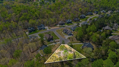 7504 Hunter York Ct, Fairview, TN 37062 - photo 4