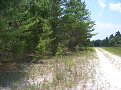 road in front of property looking north
