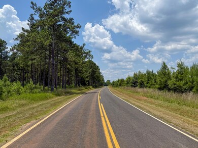 0 Buckhead Rd, Blair, SC 29015 - photo 4