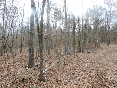 OFF Cold Spring Rd, Waldron, AR 72958 - photo 4