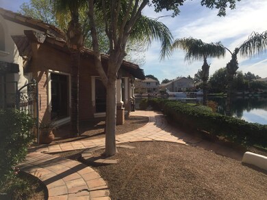 backyard 2
