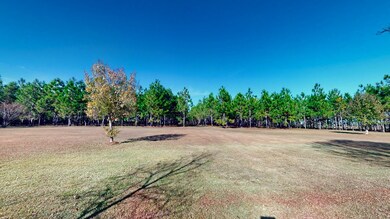 8995 Salem Rd, Pavo, GA 31778 - photo 6