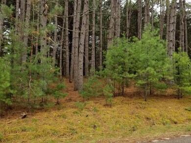 ON Forest Rd, Tomahawk, WI 54487 - photo 2