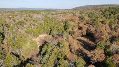 Snow unit OK, Snow, OK 74567 - photo 4