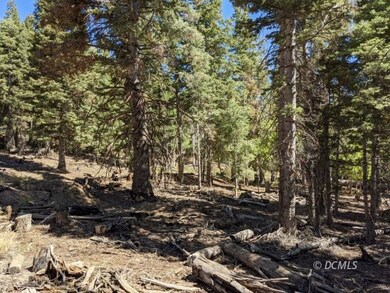 Aspen and pine trees on lot for privacy