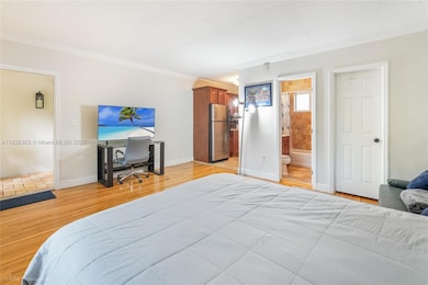 Living/Dining/Bedroom area
