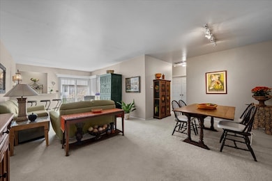 131 Autumn Ct unit CT10602, Buffalo Grove, IL 60089 - photo 3