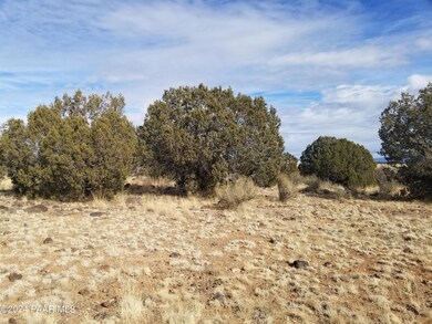 47 Mile High Rd, Ash Fork, AZ 86320 - photo 7