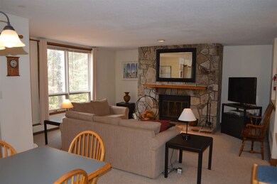 5 Northbrook Village Rd unit E-15, Dover, VT 05356 - photo 2