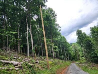 TBD Starmount Ln, Galax, VA 24333 - photo 4