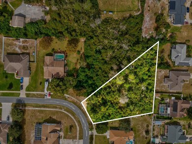 13273 Jessica Dr, Spring Hill, FL 34609 - photo 5