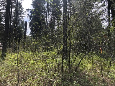 4 Roberts Loop unit 22, Cascade, ID 83611 - photo 5