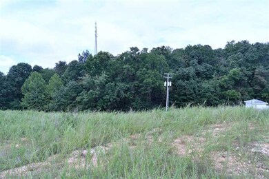 0000 Summit Dr, Noel, MO 64854 - photo 3