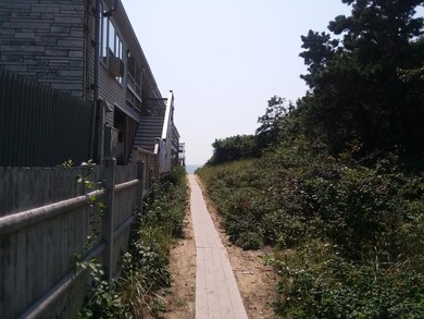 birch pathway
