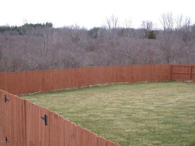 fenced back yard