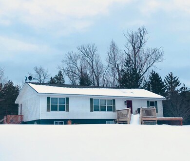 7903 Randolph St, Vanderbilt, MI 49795 - photo 2