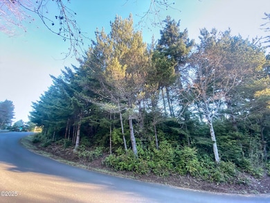 1005 NW Salal, Waldport, OR 97394 - photo 3