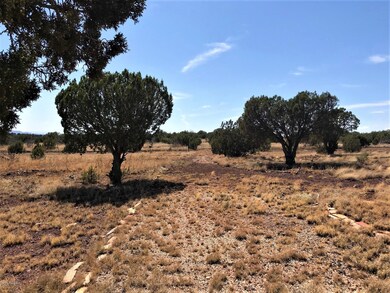 48275 N Steve Ln, Ash Fork, AZ 86320 - photo 2