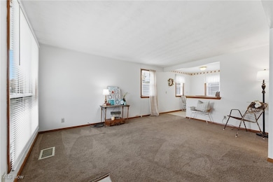 1159 Hawthorne Ave SW, Canton, OH 44710 - photo 4