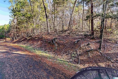 7595 McCombs Mill Rd, Pinson, AL 35126 - photo 2