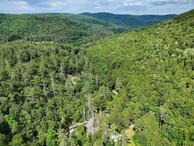 32 Hunter Brook Rd, Newfane, VT 05351 - photo 5