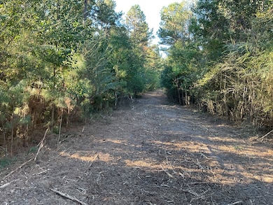 3114 Chapel Hill Rd, Rutledge, AL 36071 - photo 4