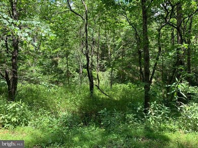 TBD Supinlick Ridge, Edinburg, VA 22824 - photo 6