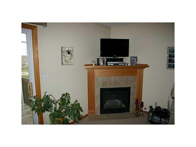 Fireplace.