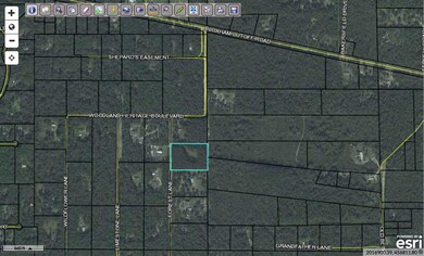 0 Forest Ln, Crawfordville, FL 32327 - photo 2