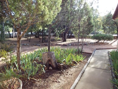RANDOM FRONT YARD