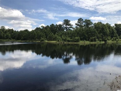 Lot 1 Chow Ln, Conway, SC 29526 - photo 6