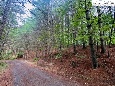 TBD Daniel Pierce Rd, West Jefferson, NC 28694 - photo 4