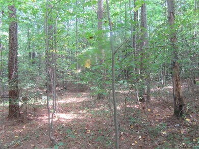 73-7-7 Fox Branch Rd, Dinwiddie, VA 23830 - photo 2