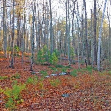 Lot view