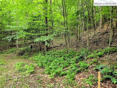 Tbd Brightwood Trail, Deep Gap, NC 28618 - photo 2