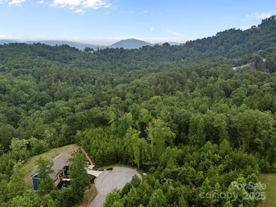 00000 Deer Jump Trail unit 351, Lake Lure, NC 28746 - photo 7