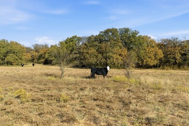 11051 Brock Hwy, Lipan, TX 76462 - photo 3
