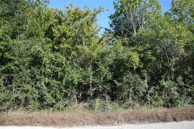 7006 S Oak Bend Dr, Alvin, TX 77511 - photo 7