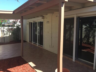 Back Patio 1