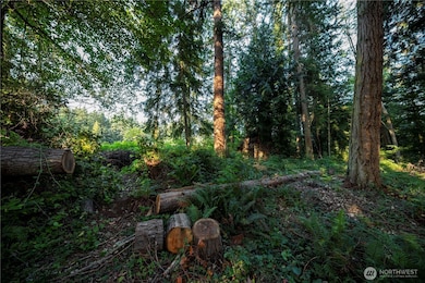 0 Ships Haven Dr unit NWM2414859, Freeland, WA 98249 - photo 3