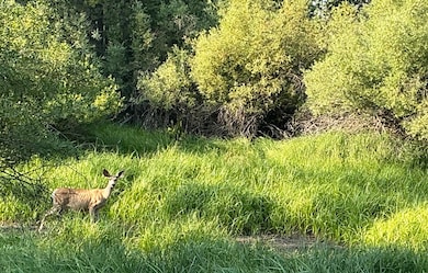55086 Log Bridge Dr, Bend, OR 97707 - photo 3
