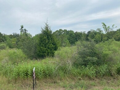 TBD Megan Dr, Fairchilds, TX 77461 - photo 5