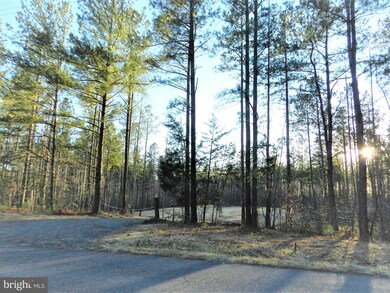 0 Eleys unit VACU2002268, Lignum, VA 22726 - photo 5