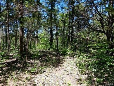 10 Watts Acres Rd, Robertsville, MO 63072 - photo 2