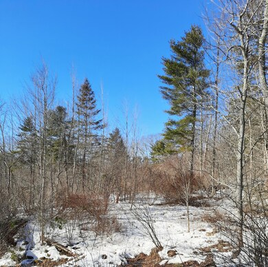 0 Patterson Hill Rd, Belfast, ME 04915 - photo 3