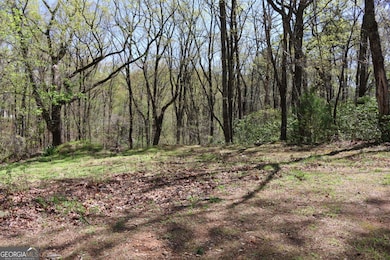 0 Spring Crest Rd unit 10509769, Cleveland, GA 30528 - photo 4